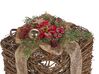 Set of 2 Rattan Decorative Christmas Gifts Red INARI_787414