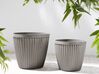 Set of 2 Plant Pots ⌀ 36 cm Taupe POKA_850928