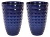 Bloempot set van 2 marineblauw ⌀ 35 cm FERIZA_844502