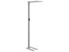 Metal LED Floor Lamp Silver ORION_868743