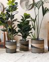 Set of 3 Seagrass Plant Pot Baskets Natural and Black RATTAIL_824937