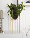 Metal Plant Pot Stand 16 x 16 x 41 cm Black with Gold LEFKI_804727