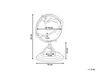 Decorative Globe 25 cm Beige PIZARRO_785614