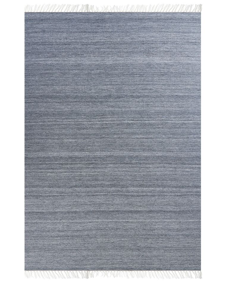 Teppich grau 160 x 230 cm Kurzflor MALHIA_846713