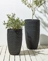 Conjunto de 2 vasos para plantas em rattan preto CEDRUS_914459
