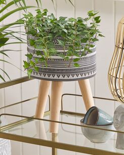 Kukkateline harmaa 25 x 25 x 35 cm ARGINIA