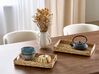 Conjunto de 2 bandejas decorativas de jacinto de agua claro KONTUM_886522