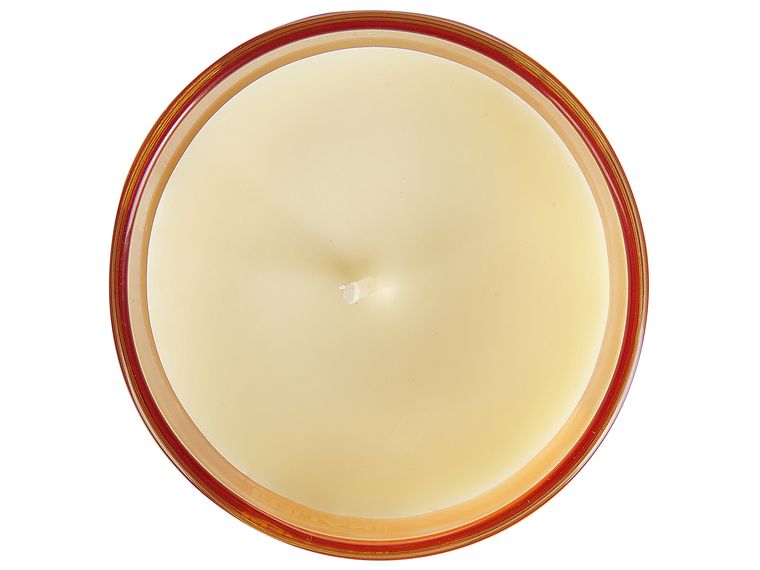 ALLAVA Bougie Parfumée à La Vanille Avec Pierre De Cristal, Bougie En Cire De Soja Naturelle Faite à La Main, Jusqu'à 20 Heures De Combustion (vanille, 270 G