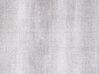 Viskózový koberec 80 x 150 cm světle šedý GESI II_762302