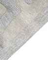 Viskózový koberec 160 x 230 cm béžový/šedý GWANI_904755