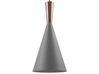 Metal Pendant Lamp Grey TAGUS_745203