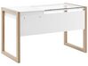 Schreibtisch weiß / heller Holzfarbton 120 x 60 cm JENKS_790468