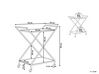 Metal Drinks Trolley with Mirrored Top Gold IVERA_798096