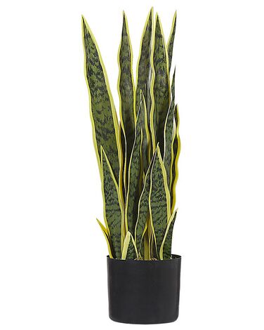 Pianta artificiale in vaso verde e nero 63 cm SNAKE PLANT