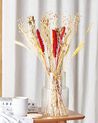 Dried Flower Bouquet 65 cm Red and Yellow PAMPELUNA_835265