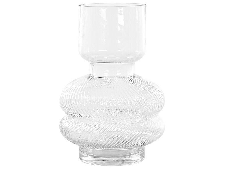 Bloemenvaas transparant glas 24 cm RODIA_838064