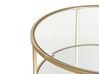 Glass Top Coffee Table with Mirrored Shelf Gold BIRNEY_829609