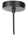 Sklenená závesná lampa čierna/strieborná TALPARO_851436