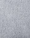 Teppich hellgrau ⌀ 140 cm Shaggy DEMRE_715017