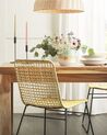Set of 2 Rattan Dining Chairs Natural ELFROS_820081
