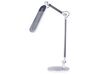 Metal LED Desk Lamp Silver GRUS_855136