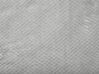 Manta de poliéster gris claro 150 x 200 cm SAITLER_770474