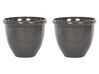 Conjunto de 2 vasos de plantas castanhos ⌀ 40 cm TESALIA_841996