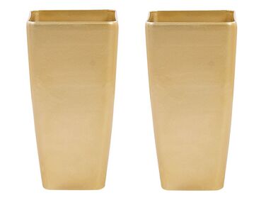 Conjunto de 2 vasos para plantas em pedra dourada 30 x 30 x 57 cm MODI