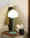 Lampada da tavolo verde e bianco 39 cm MORUGA_851500