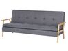 Canapé-lit en tissu gris TJORN_813485