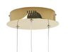 Metal LED Pendant Lamp Gold TANO_815510