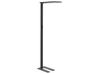 Metal LED Floor Lamp Black ORION_868761
