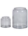 Conjunto de 2 vasos de vidro cinzento claro 20/11 cm RASAM_823700