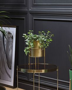 Kukkateline rauta kulta 16 x 16 x 28 cm MILEA