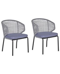 Puutarhatuoli 2 kpl harmaa PALMI