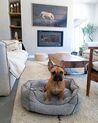 Linen Pet Bed 65 x 50 cm Grey CANDIR_829091