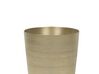 Vaso decorativo em alumínio dourado 31 cm AMRIT_765781