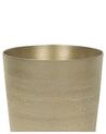 Metal Flower Vase 31 cm Gold AMRIT_765781