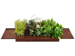 Koriste tekokasvi vihreä/ruskea 63 x 25 cm OSMIA Koriste tekokasvi vihreä/ruskea 63 x 25 cm OSMIA