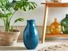 Terakotová dekorativní váza 48 cm modrá STAGIRA_850631