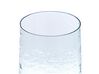 Set of 2 Clear Glass Decorative Vases 25/17 cm KULCHE_823825