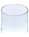 Set of 2 Clear Glass Decorative Vases 25/17 cm KULCHE_823825
