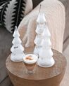 Fehér Karácsonyfák Üvegből Háromdarabos Szettben LED Világítással KIERINKI_879390