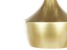 Kovová závesná lampa zlatá FRASER_823444