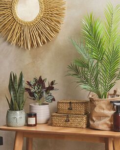 Tekokasvi 35 cm TRADESCANTIA