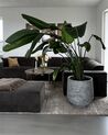 Vaso para plantas em fibra de argila cinzenta clara 48 x 48 x 53 cm DIONI_885275