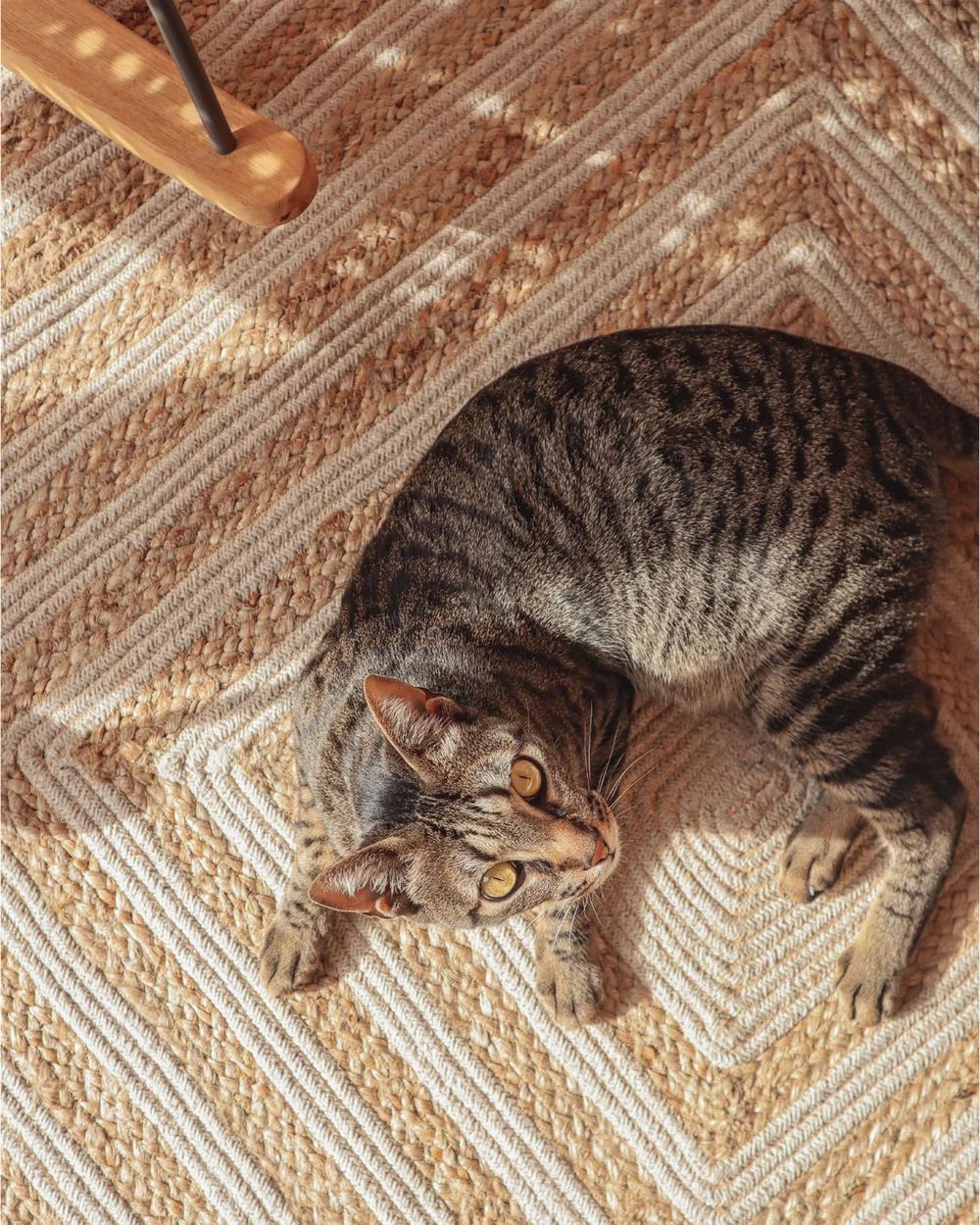 Cotton Area Rug 140 x 200 cm Beige PIRLI | Beliani.co.uk