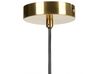 Kovová závěsná lampa zlatá/světlé dřevo BARGO_872868