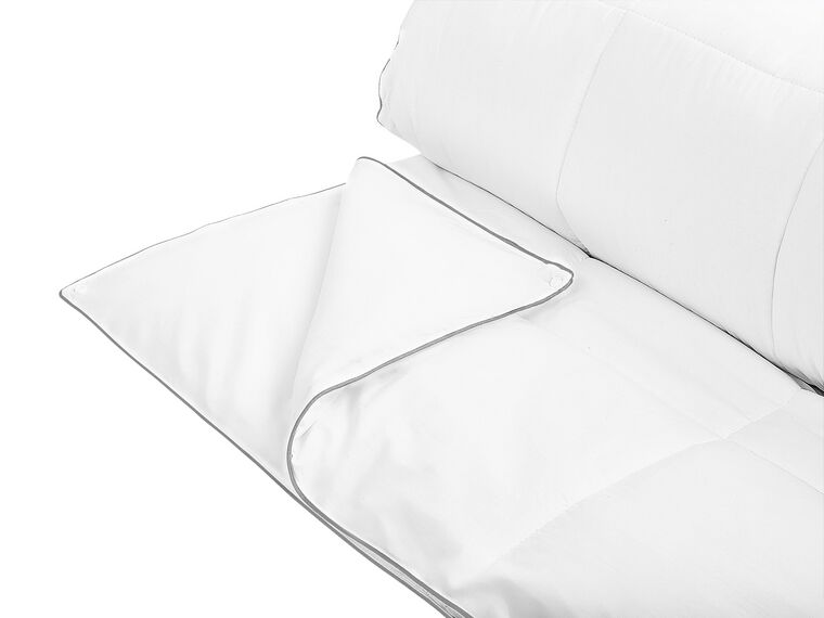 Celoročná posteľná prikrývka z mikrovlákna 240 x 220 cm TELENO_807617