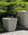 Set of 2 Plant Pots 39 x 39 x 43 cm Beige DELOS _841670